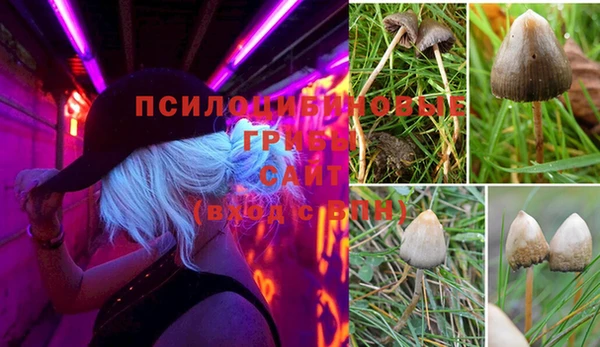 твердый Елизово