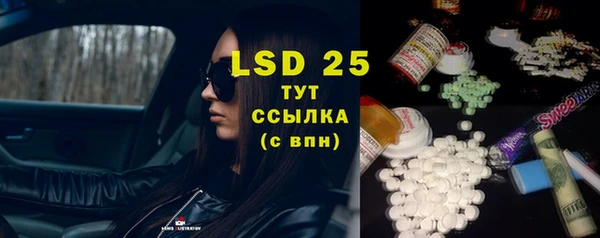спайс Ельня