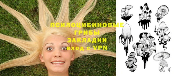 твердый Елизово