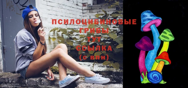 спайс Ельня