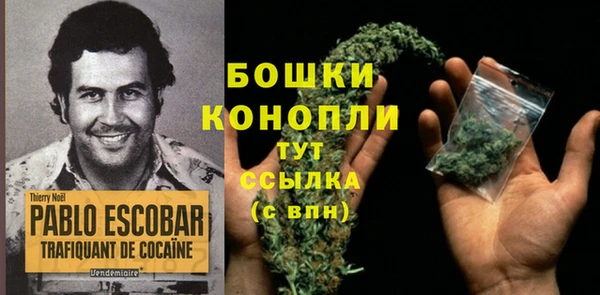 спайс Ельня