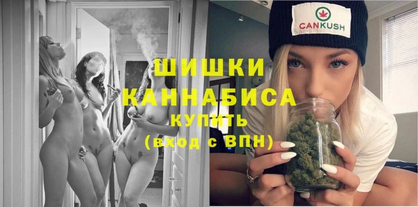 спайс Ельня