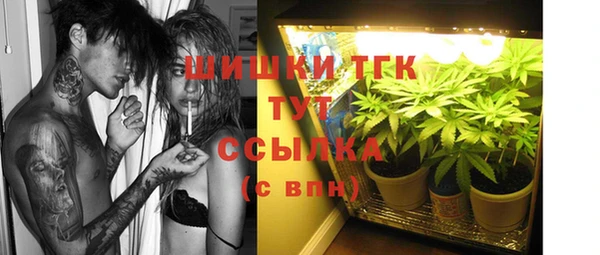 твердый Елизово